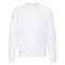 Raglan Sweatshirt